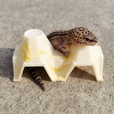 BenF Home 계란판 은신처 2칸 옐로우 도마뱀 파충류 사육장 숨숨집 쉘터 용품, 1개, 상세페이지 참조