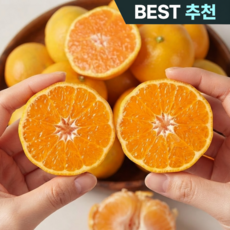 [매일50박스만] 당일수확 고당도 제주 하우스 귤 감귤, 1박스, 감귤 2kg