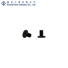 【銳禾】工廠直營 M2.5x4 I頭 十字槽 機械牙 鍍黑鋅 螺絲 100入, 1個