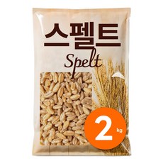 큰나무 프리미엄 파로 스펠트 밀, 2kg, 1개
