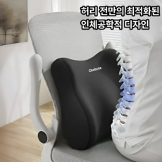 슈레보 사무실 허리전만 지지 등받이 허리 쿠션, 블랙