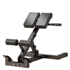 홈짐 허리 강화 백 익스텐션 운동기구 복근 다기능 트레이너 전문 피트니스 장비, 표준형 접이식