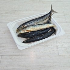 염장 정어리 5~6마리 갈치낚시 강추미끼, 1개, 350g