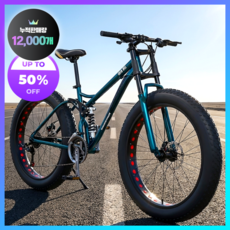 단이스포츠 고성능 펫바이크 바퀴큰 명품 팻바이크 자전거 광폭 타이어 배달용 출퇴근, 1개, 180cm, [Green] 7단