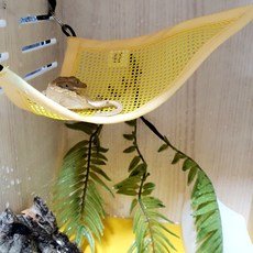 도마뱀해먹 비어디해먹 크레해먹 비어디드래곤 파충류해먹 크레스티드게코 파충류 사육장꾸미기 파충류은신처 도마뱀사육장, 1개, 노랑