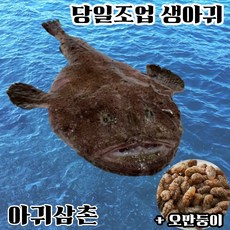 당일조업 생아귀 꼬리살 꼬릿살 1kg 손질 아귀 안키모 오만둥이 아귀간 대창 찜 탕 수육 매운탕, 1개, 생아귀 한마리