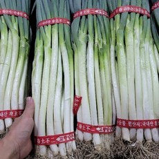 대파 국산 손질대파 3.6kg내외 (1.8kg x 2단) 야채맘, 2개