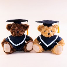 小熊家族 坐姿26公分手工畢業泰迪熊，客製繡字畢業禮物，附開窗手提紙袋, 棕色,不繡字, 1個
