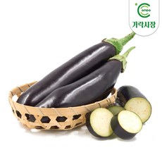 [온도씨]가락시장 당일경매 가지 1개