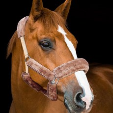 해리슨 하워드 호스 홀터 플리스 커버 세트, Brown