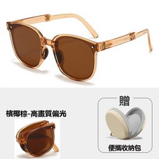 HYLSS 戶外防曬摺疊太陽眼鏡 可摺疊 偏光 防紫外線