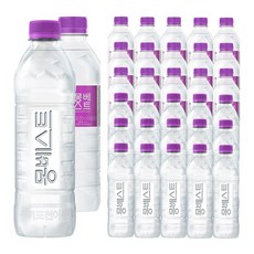 몽베스트 생수, 500ml, 100개