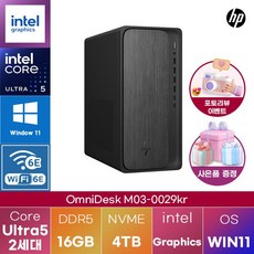 HP PC 옴니데스크 M03-0029kr U5-225 인텔 그래픽스 WIN11 설치 업무용 대학생 데스크탑, WIN11 Pro, 4TB, 16GB