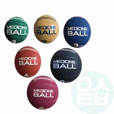 위블리 운동 메디신볼 5kg