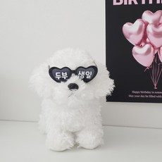 고양이 강아지 미니 하트 생일 선글라스, 1개, 블랙