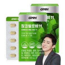GNM자연의품격 징코 빌로바11 30정, 2개