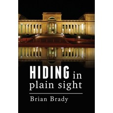 (영문도서) hiding in plain sight Hardcover, Palmetto Publishing, English, 9798822945234
