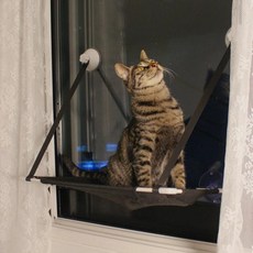 다온샵 고양이용품 고양이계단 고양이 윈도우 해먹 1단 2단 25kg 캣타워 창문해먹