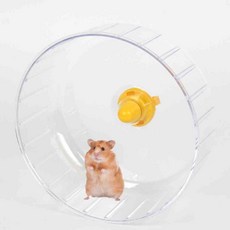 햄스터 투명 쳇바퀴 햄스터쳇바퀴 챗바퀴, 1