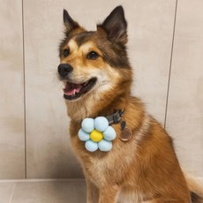 하니펫 반려동물 귀요미스카프 왕 폼폼꽃 보타이, 1개, 하늘