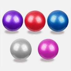LW 짐볼 55 홈트레이닝 밸런스운동 스트레칭 펌프 필라테스 밸런스볼 요가 헬스 임산부, 단일, E짐볼55 퍼플