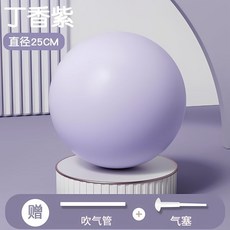 瑜伽球 25CM 淺粉色 健身球, 25CM淺紫色送吹氣管, 1個