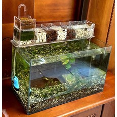 2尺缸用加大型上過濾盒乾溼分離滴流盒組(含110v水泵及送部份濾材不含魚缸), 1個