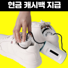 CapsuleS 신발 건조기 소독기 살균기 운동화 안전화 관리기 살균형, 그린