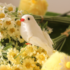 왓위셀 미니 흰 비둘기 4P새 장식 인형, 화이트