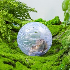 파랑새백화점 햄스터운동볼 햄스터운동장