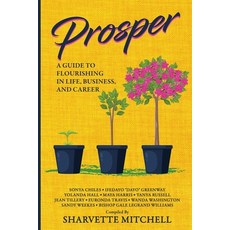 (영문도서) Prosper: A Guide to Flourishing in Life Business and Career Paperback, Mitchell Productions, LLC, English, 9798987619759
