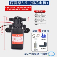 祥云泵 3.5 (銅芯電機) 12V 農用電動噴霧器水泵, 1個, 雨露泵（銅芯電機）