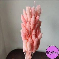 말린 꽃 토끼 꼬리 잔디 프리미엄 팜파스 리드 불멸의 꽃다발 재료 웨딩 파티 장식 식물, B3