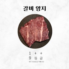 정한우 투뿔 갈비양지 1++(9)등급 덩어리용(냉장) 1kg 1.5kg, 갈비양지1kg, 1개
