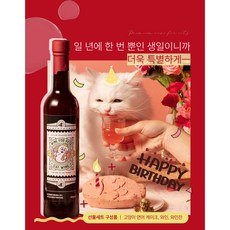 고양이전용 생일 케이크 & 와인 세트 그레인프리 연어 닭고기 가득 생일 선물, 1개, 1kg, 닭