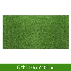 仿真草皮 植絨假草皮 飾品展示背景 苔蘚微景觀DIY裝飾材料 不扎手柔軟