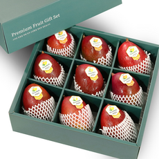 프리미엄 페루 애플망고 달콤한 망고 선물세트, 1박스, 애플망고 4kg내외 (9과)