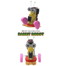 초등고학년 움직이는로봇 조립키트 깡충깡충 토끼로봇만들기 재밌는 공학