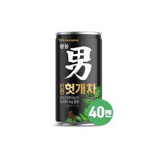 광동제약 진한 헛개차, 180ml, 40개