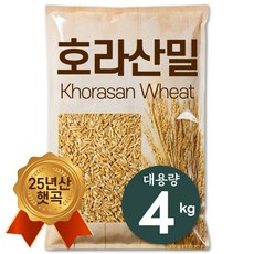 The큰나무 25년산 햇 호라산밀 고대곡물 카무트 쌀, 4kg, 1개