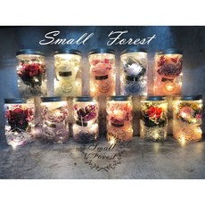Small Forest 永生花燈瓶 玫瑰滿天星花束 浪漫禮物擺飾 生日情人節畢業婚禮小物, C(無燈串)