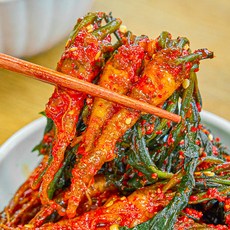 [농가살리기] 여수 돌산 전라도 고들빼기김치 1kg, 1개