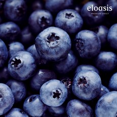 블루베리 항공직송 최상급 125g, 1개, 14-16mm 2팩 (한팩 125g내외)