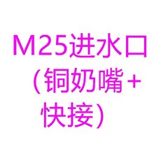 M25進水口 銅奶嘴+快接 全銅快速接頭, 1個