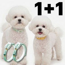 아티즌 강아지 해충방지 진드기 목걸이, 2개, 35ml, 그린