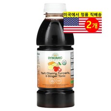 Dynamic Health 다이내믹 헬스 타트 체리 강황 생강 토닉 Turmeric Curcumin, 473ml, 2개