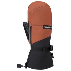 Dakine Titan 고어텍스 장갑 - 블랙 XL