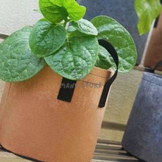 [사마누] 상추화분 식물화분 화분통 부직포 화분 2p세트 35x30cm 브라운