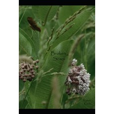 Broken Scars Paperback, Independently Published