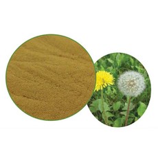 민들레추출분말 100g 샘플, 1개, 단품